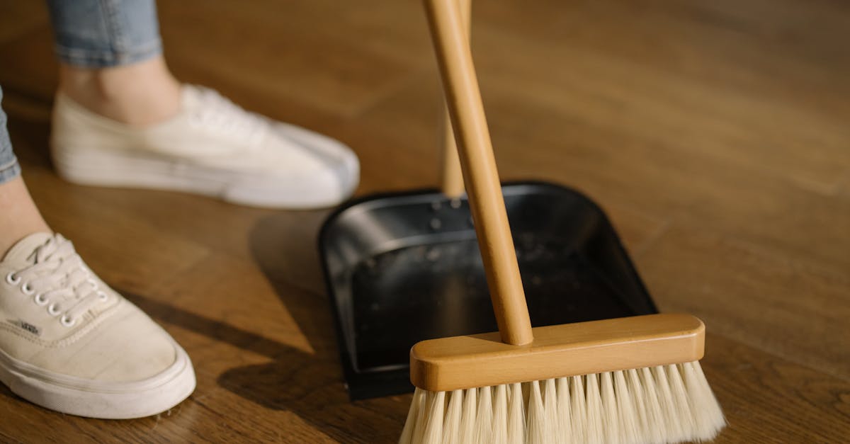 découvrez nos conseils et solutions efficaces pour le nettoyage de votre maison ou de votre entreprise. profitez d'astuces pratiques pour un environnement propre, sain et accueillant au quotidien !